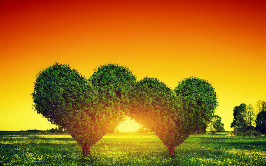 909064 (a): :2880x1800